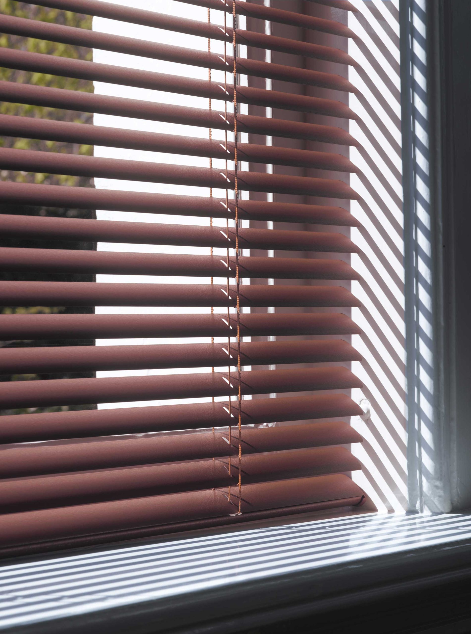 Indoor_Veni-2-scaled